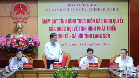 Giám sát kết quả thực hiện các nghị quyết của Quốc hội tại Lạng Sơn