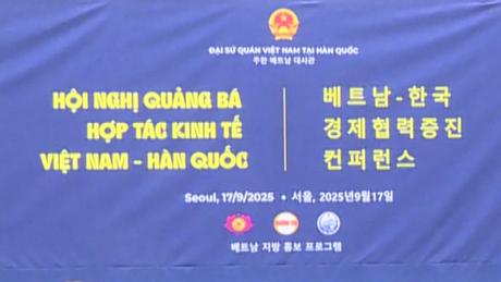 Kết nối hợp tác giữa các địa phương Việt Nam với doanh nghiệp Hàn Quốc