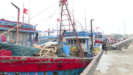 Triển khai nhiều giải pháp kiểm soát, hạn chế vi phạm khai thác IUU