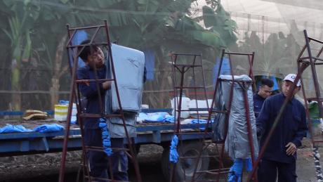 Tu nghiệp sinh Việt Nam học hỏi về nông nghiệp công nghệ cao tại Israel