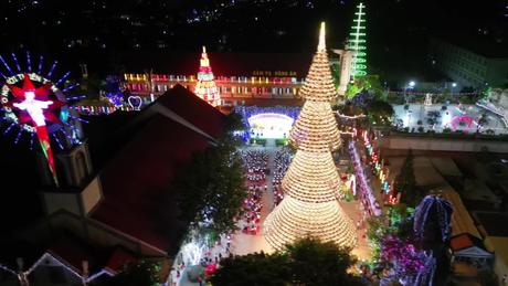 Chiêm ngưỡng cây thông làm từ 3.000 chiếc nón lá