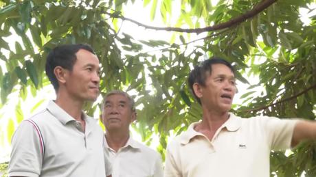 Áp dụng KHKT liên kết sản xuất nông nghiệp hữu cơ bền vững