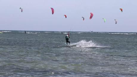 Sôi nổi giải lướt ván diều Quốc tế Mỹ Hòa - Khánh Hòa 2026