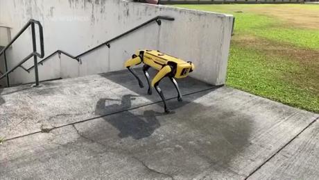 Mexico triển khai “chó robot” hỗ trợ an ninh World Cup 2026