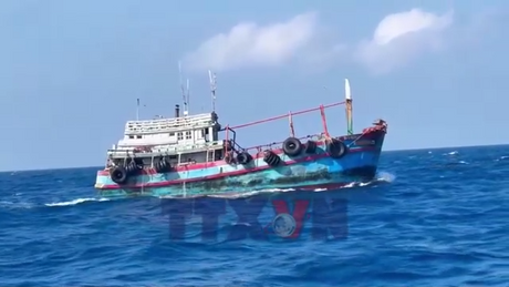 Bắt giữ tàu cá vận chuyển trái phép hơn 50.000 lít dầu Diasel