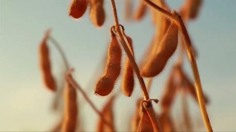 Nông dân Mỹ chịu áp lực giá phân bón do chiến sự