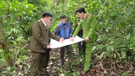  Quản lý rừng góp phần bảo vệ môi trường sống