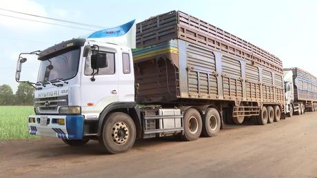 Gỡ “điểm nghẽn” kiểm soát an toàn thực phẩm xuất nhập khẩu tại Tây Ninh