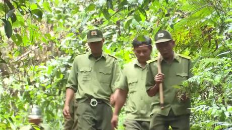  Quản lý, bảo vệ rừng dựa vào cộng đồng