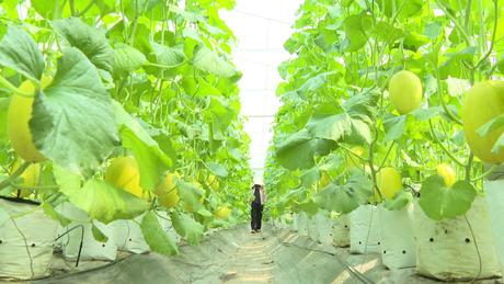 Chuyển đổi mô hình sản xuất giữa biến động thị trường