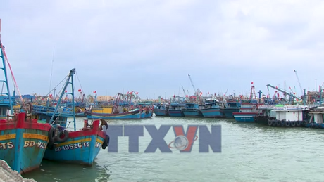 Gia Lai phủ sóng nhật ký khai thác thủy sản điện tử