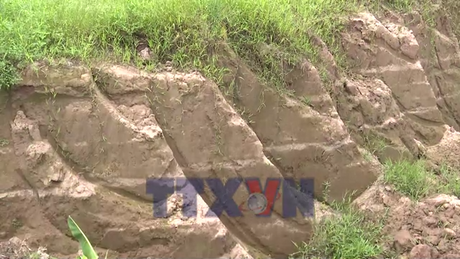 Cần xử lý nghiêm đối tượng lấy trộm hàng trăm mét khối đất tại Hưng Yên