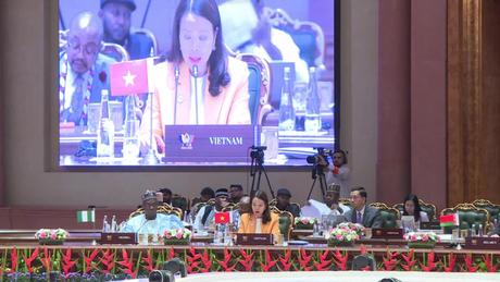 Việt Nam sẵn sàng thúc đẩy kết nối BRICS với khu vực châu Á - Thái Bình Dương