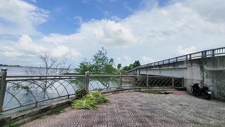 Vĩnh Long khẩn trương duy tu kè sông Cổ Chiên